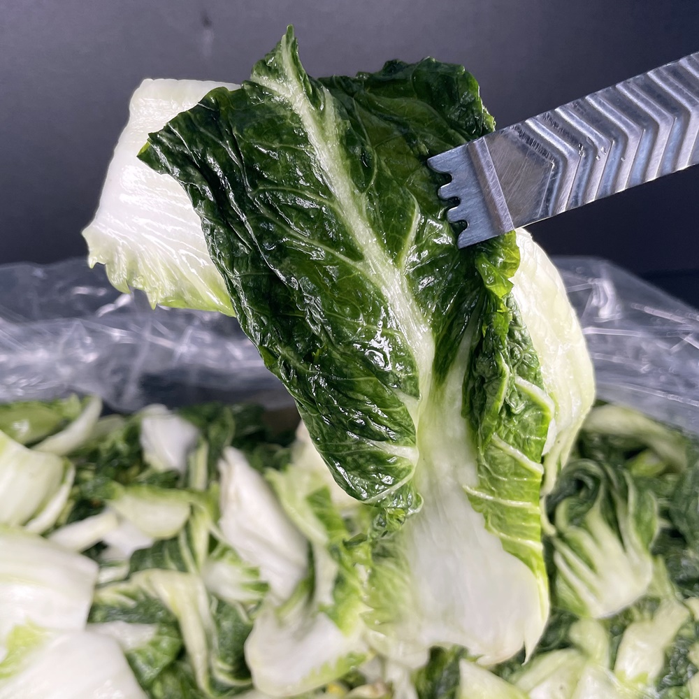 연주푸드 염지 냉동우거지 배추우거지 업소용 10kg