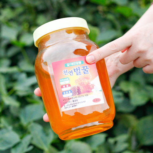 천연벌꿀 야생화 잡화꿀 양봉 자연꿀 국산 2.4kg 순창 담예찬