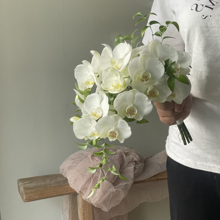 부케·화관·웨딩 > 화이트 호접난 드롭 부케 웨딩 촬영 꽃다발[서울/경기일부 무료배송] | 오늘의집 쇼핑 화이트 호접난 드롭 부케 웨딩 촬영... 
