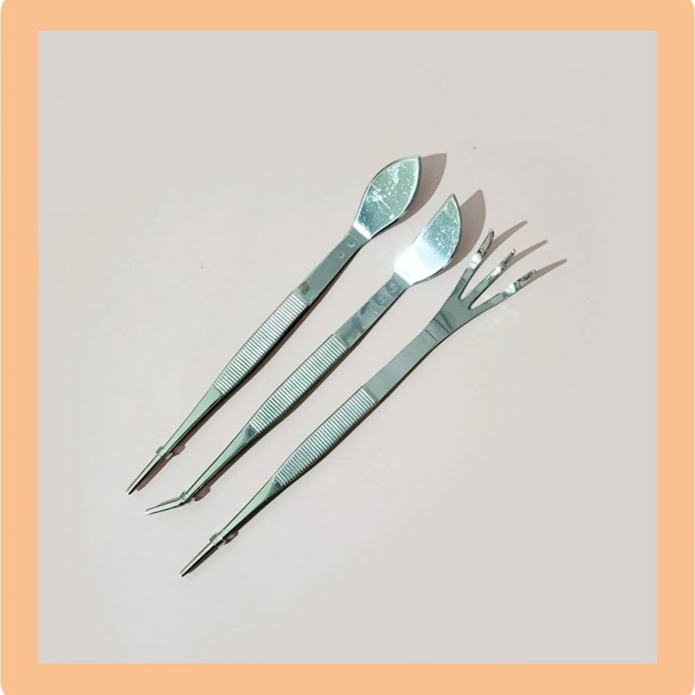 고급 원예용 키코아 스텐 핀셋 다육식물 관엽식물 집게 분갈이 용품 다육이 도구 - 상품 이미지