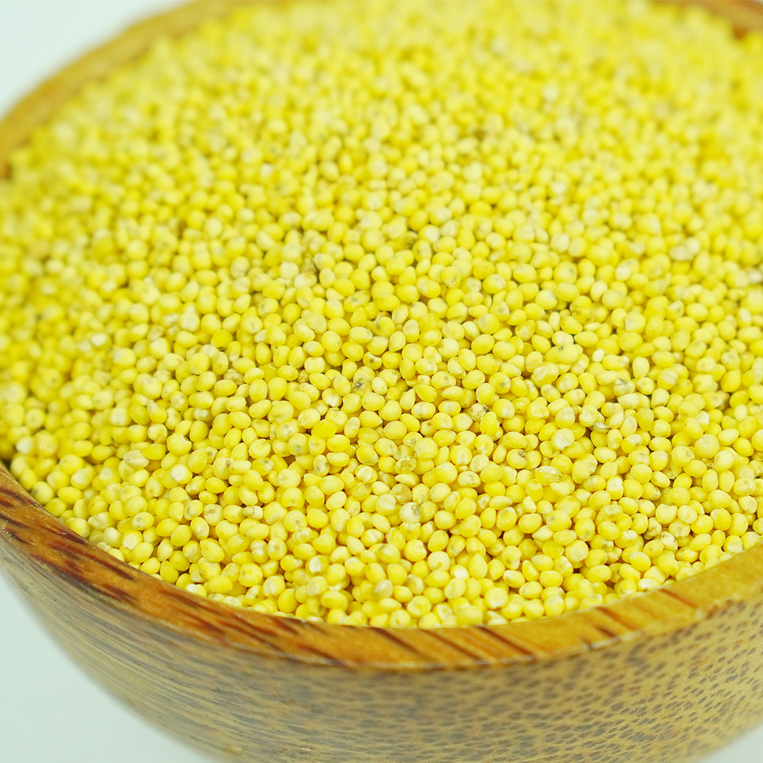 25년도 햇곡 기장쌀 국산 무농약 찰기장 좁쌀 1kg - 상세 이미지 3
