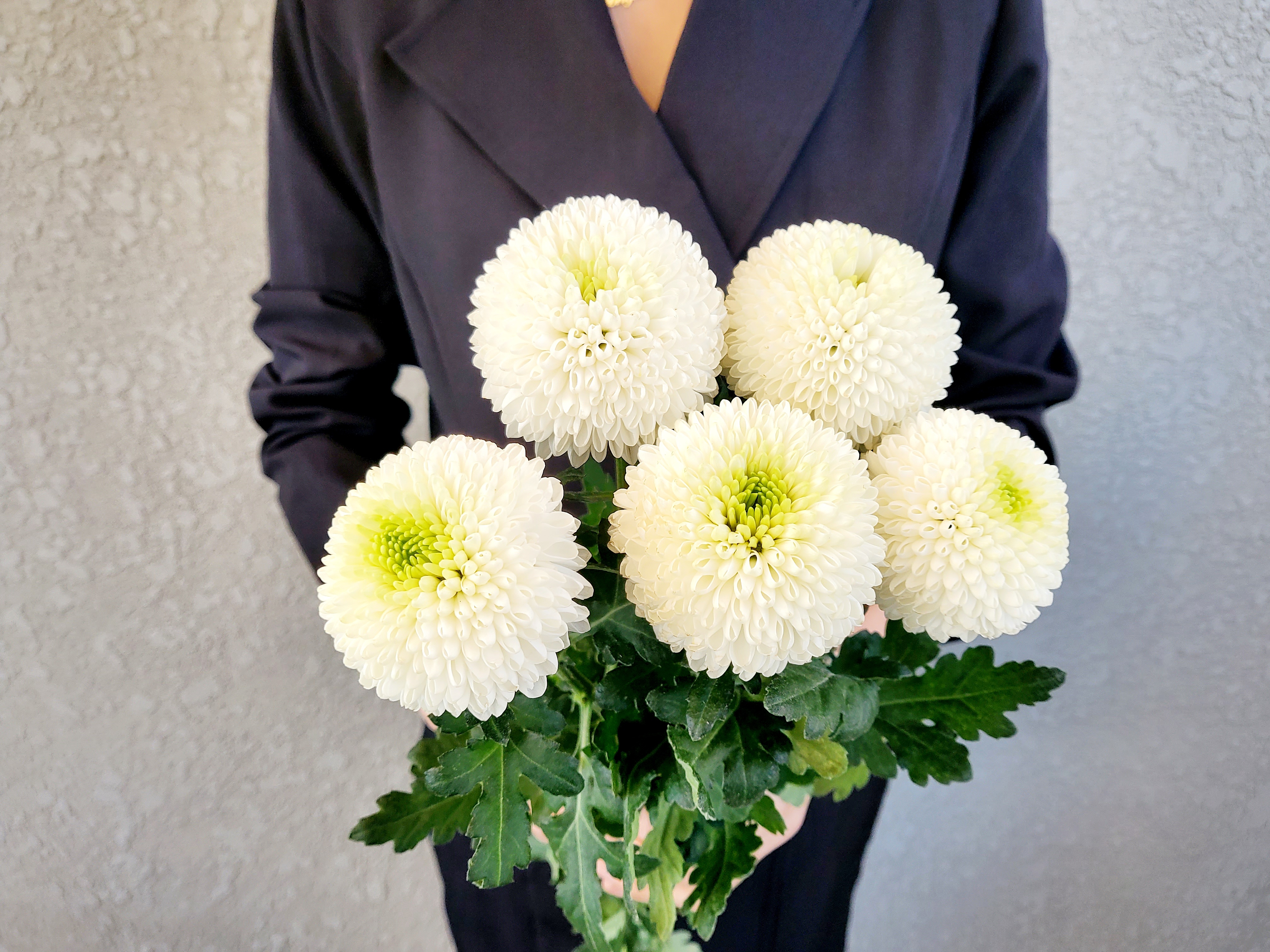 유스풀몰 파스텔 퐁퐁소국 5송이 생화 꽃배달싼곳 화훼농가돕기 이미지 2