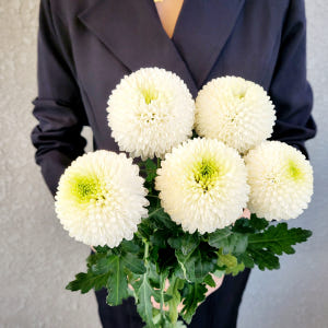 유스풀몰 파스텔 퐁퐁소국 5송이 생화 꽃배달싼곳 화훼농가돕기 솔직 후기 | 실사용자 리뷰 분석 - 상품 이미지 2