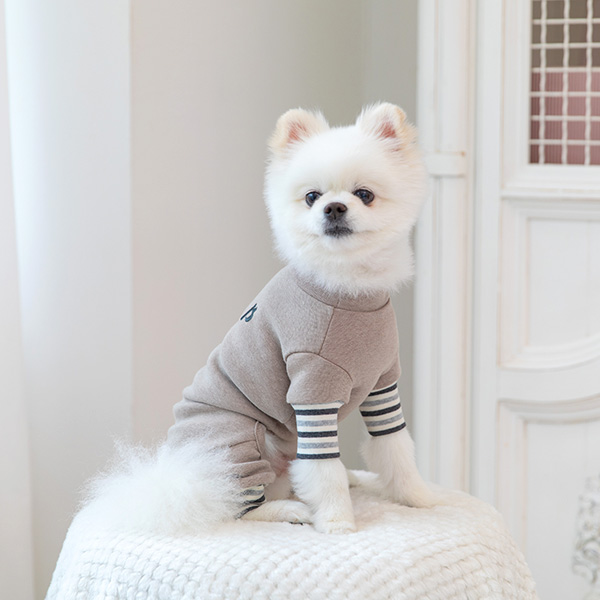 강아지옷 강아지 실내복 겨울옷 올인원 밀크코코아
