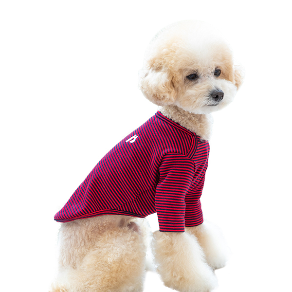강아지옷 강아지 고양이 소형견 실내복 겨울옷 티셔츠 크레페 이미지 7