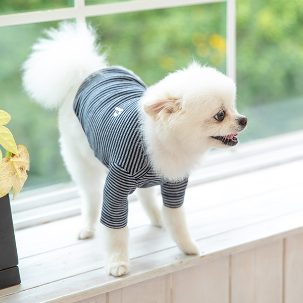 강아지옷 강아지 고양이 소형견 실내복 겨울옷 티셔츠 크레페 - 상세 이미지 3