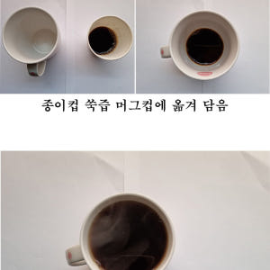 쑥즙 63포 사자발쑥 강화 약쑥 진액 인진쑥 엑기스 싸주아리 효능 3년숙... 맛있게 먹은 솔직 후기 - 상품 이미지 3