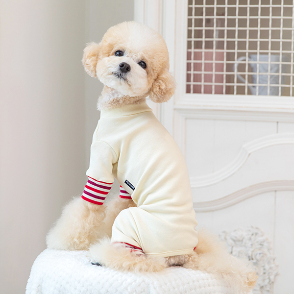 강아지옷 강아지 실내복 겨울옷 올인원 밀크코코아 이미지 6