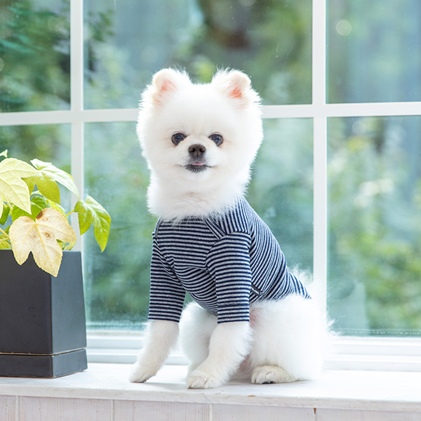 강아지옷 강아지 고양이 소형견 실내복 겨울옷 티셔츠 크레페 - 상세 이미지 2