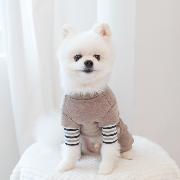 강아지옷 강아지 실내복 겨울옷 올인원 밀크코코아 - 상세 이미지 2
