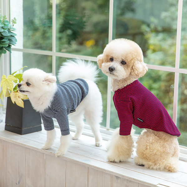 강아지옷 강아지 고양이 소형견 실내복 겨울옷 티셔츠 크레페