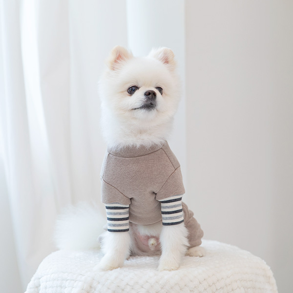 강아지옷 강아지 실내복 겨울옷 올인원 밀크코코아 - 상세 이미지 4