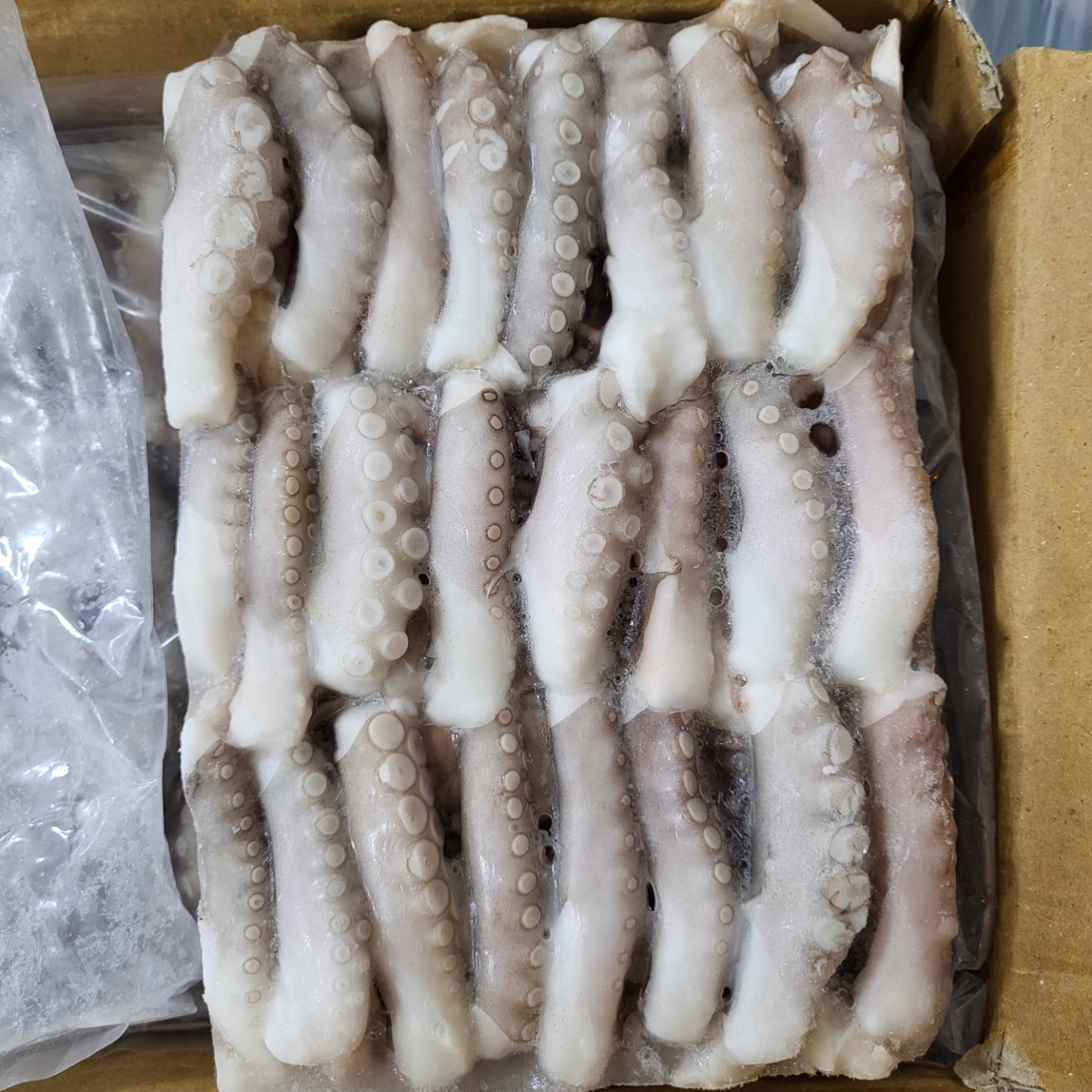 [베트남] 절단낙지 3kg L 사이즈  (낙곱새 대표 브랜드 사업장 사용중) - 상세 이미지 2