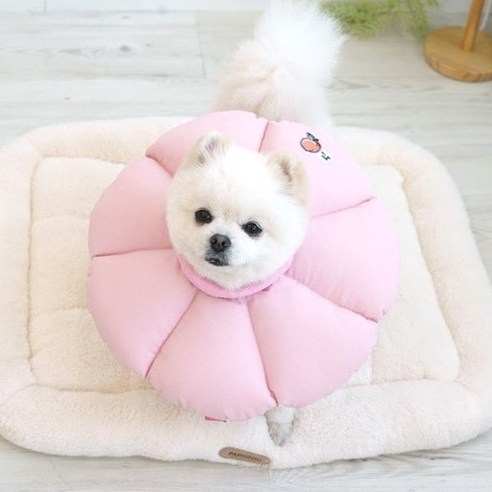 패리스독 강아지 고양이 넥카라 꿀잠 핑크 S - 상품 이미지