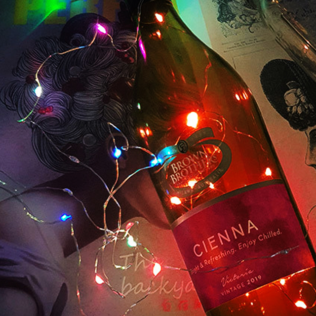 LED 와이어 전구 코르크 조명 유리 와인병 파티 캠핑 줄전구 건전지 단색 1+1