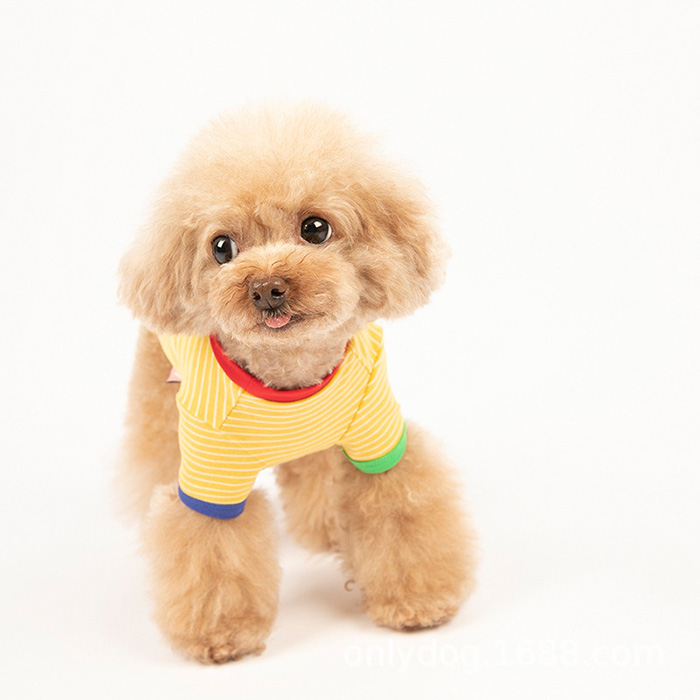 강아지옷 강아지 실내복 겨울옷 티셔츠 배색단가라