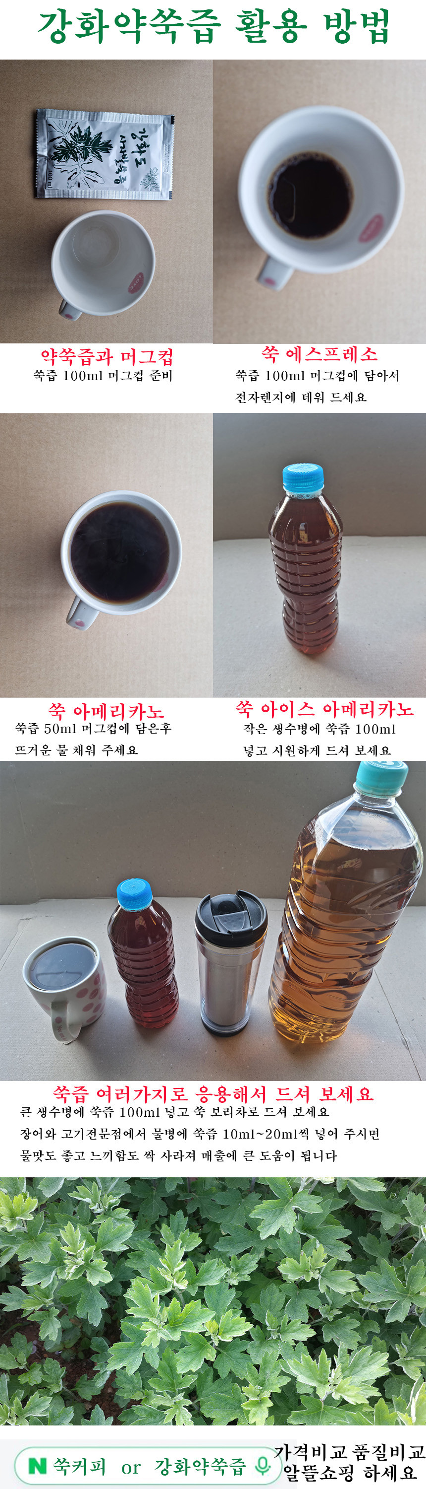 쑥즙 63포 강화 약쑥 사자발쑥 진액 인진쑥 엑기스 싸주아리 효능 직접 재배 제조 가공 사진 4