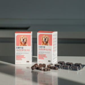 프롬더셀 강아지 노견전용 관절, 백내장, 피부, 항산화, 치매 종합영양제... 솔직 후기 | 실제 사용자 리뷰 총정리 - 상품 이미지 3