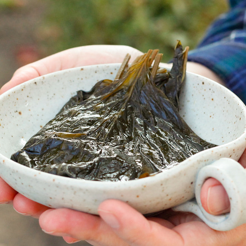 국산 간장 깻잎장아찌 깻잎절임 1kg 밑반찬 순창 향적원 - 메인 이미지