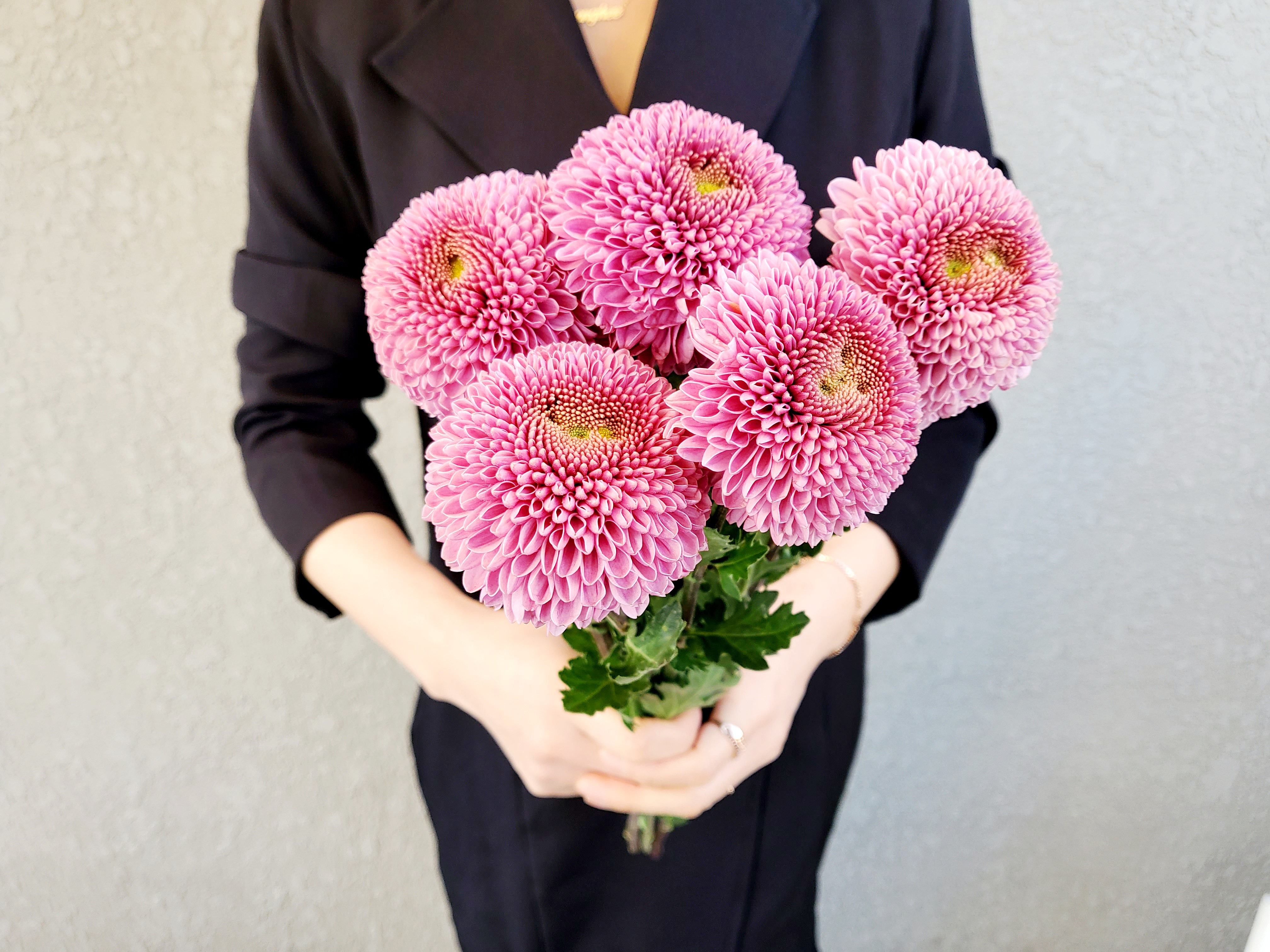 유스풀몰 파스텔 퐁퐁소국 5송이 생화 꽃배달싼곳 화훼농가돕기 이미지 3