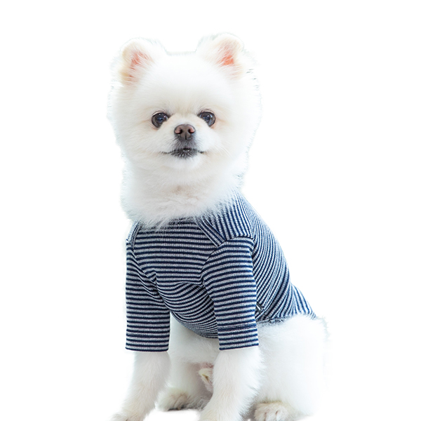 강아지옷 강아지 고양이 소형견 실내복 겨울옷 티셔츠 크레페 - 상세 이미지 4