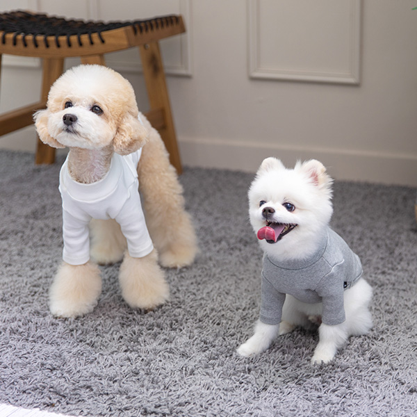 강아지옷 강아지 실내복 겨울옷 티셔츠 스탠다드하이넥
