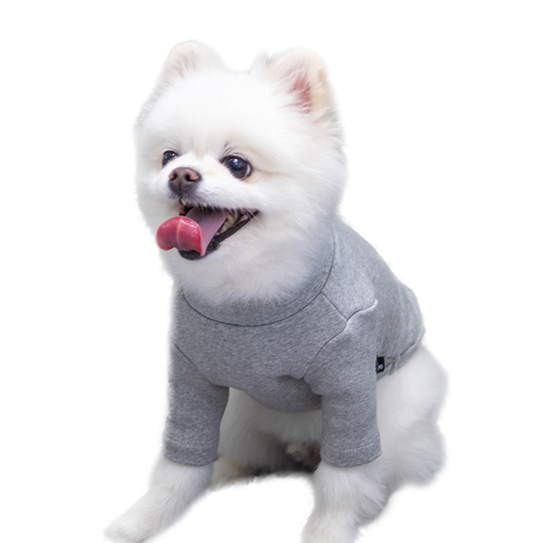 강아지옷 강아지 실내복 겨울옷 티셔츠 스탠다드하이넥 이미지 7