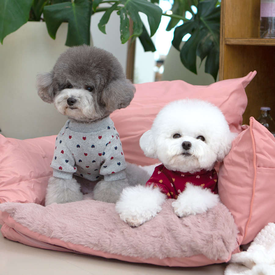 강아지옷 강아지 겨울옷 실내복 하트시그널맨투맨티셔츠 제품 이미지
