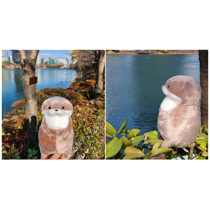 어뮤즈 앙증맞은 수달인형 17cm 효달이 AMUSE - 상세 이미지 3