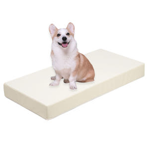 초코펫하우스 강아지계단 논슬립스텝2.0 1단 스텝 솔직 후기 | 실제 사용자 리뷰 총정리 - 상품 이미지 4