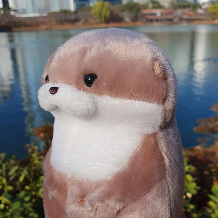 어뮤즈 앙증맞은 수달인형 17cm 효달이 AMUSE - 상품 이미지