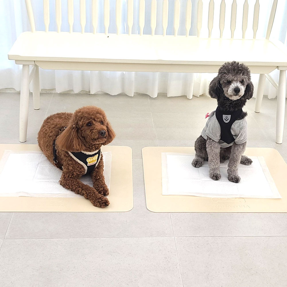 강아지 소프트 논슬립 배변매트 애견화장실 배변패드판 표준형 반려동물 인절미매트 - 상품 이미지