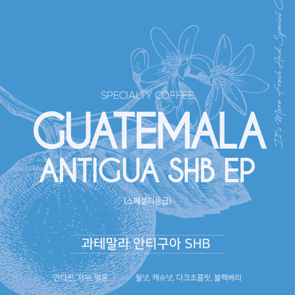 스페셜티 과테말라 안티구아 원두1kg SHB 워시드 홀빈 분쇄 - 상세 이미지 4