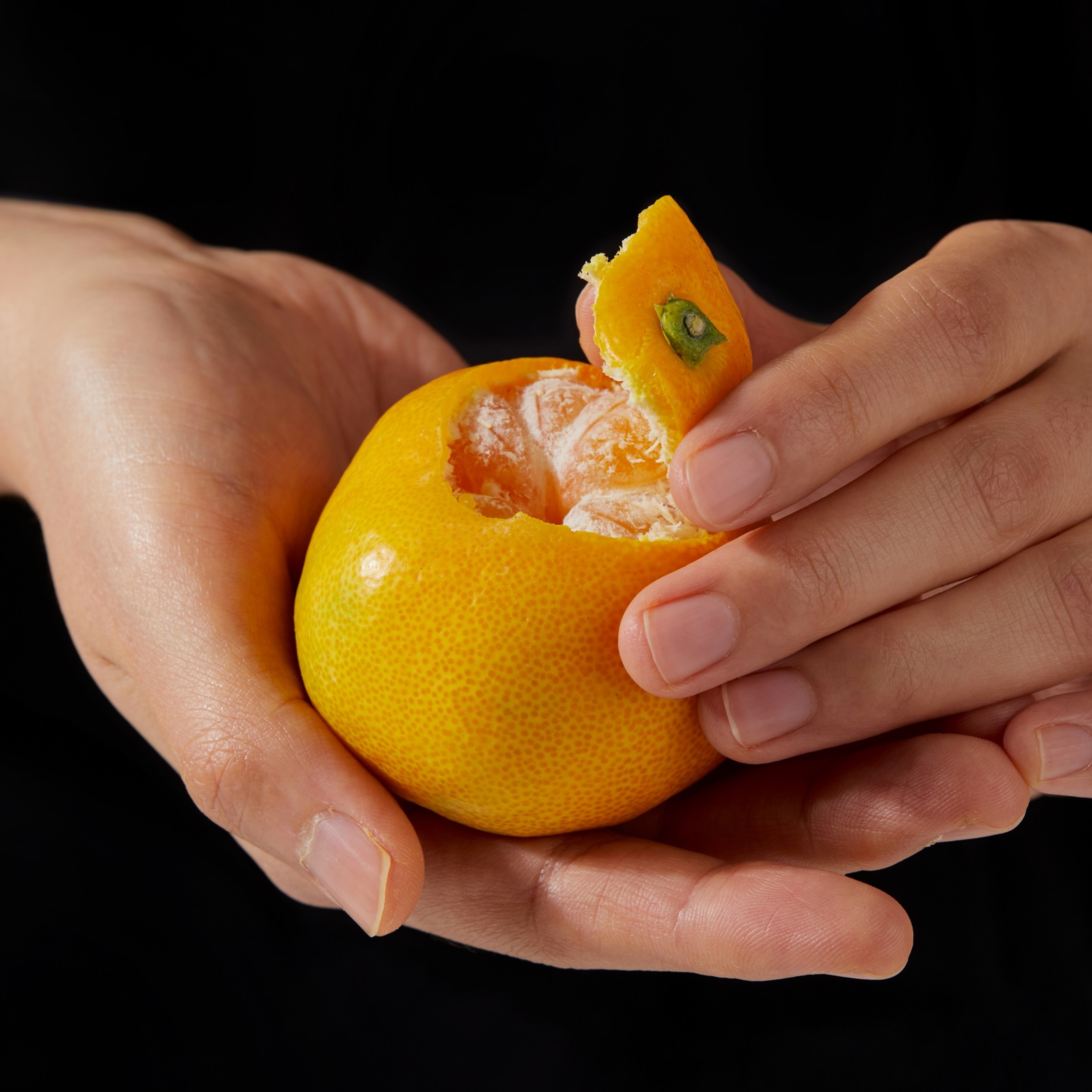 고당도 선별 12브릭스 제주 조생감귤 타이벡감귤 10kg 5kg 대용량