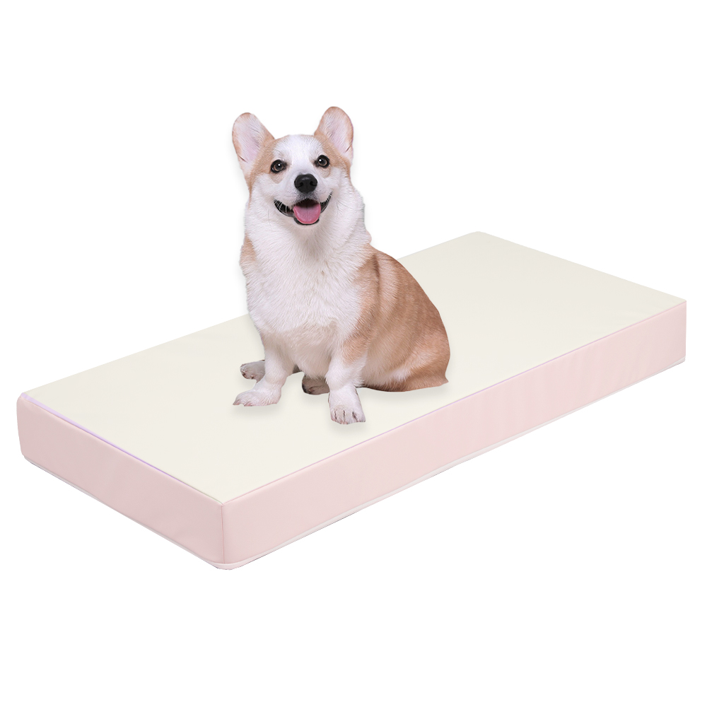 초코펫하우스 강아지계단 논슬립스텝2.0 1단 스텝 이미지 3