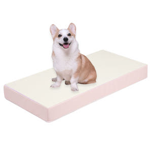 초코펫하우스 강아지계단 논슬립스텝2.0 1단 스텝 솔직 후기 | 실제 사용자 리뷰 총정리 - 상품 이미지 3