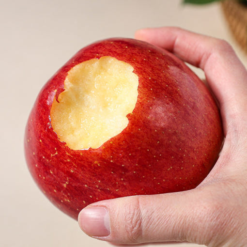 신선한 사과 단면 이미지