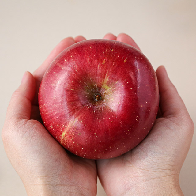 사과 부사 가정용 꿀사과 실속형 선물세트 상세 이미지 7