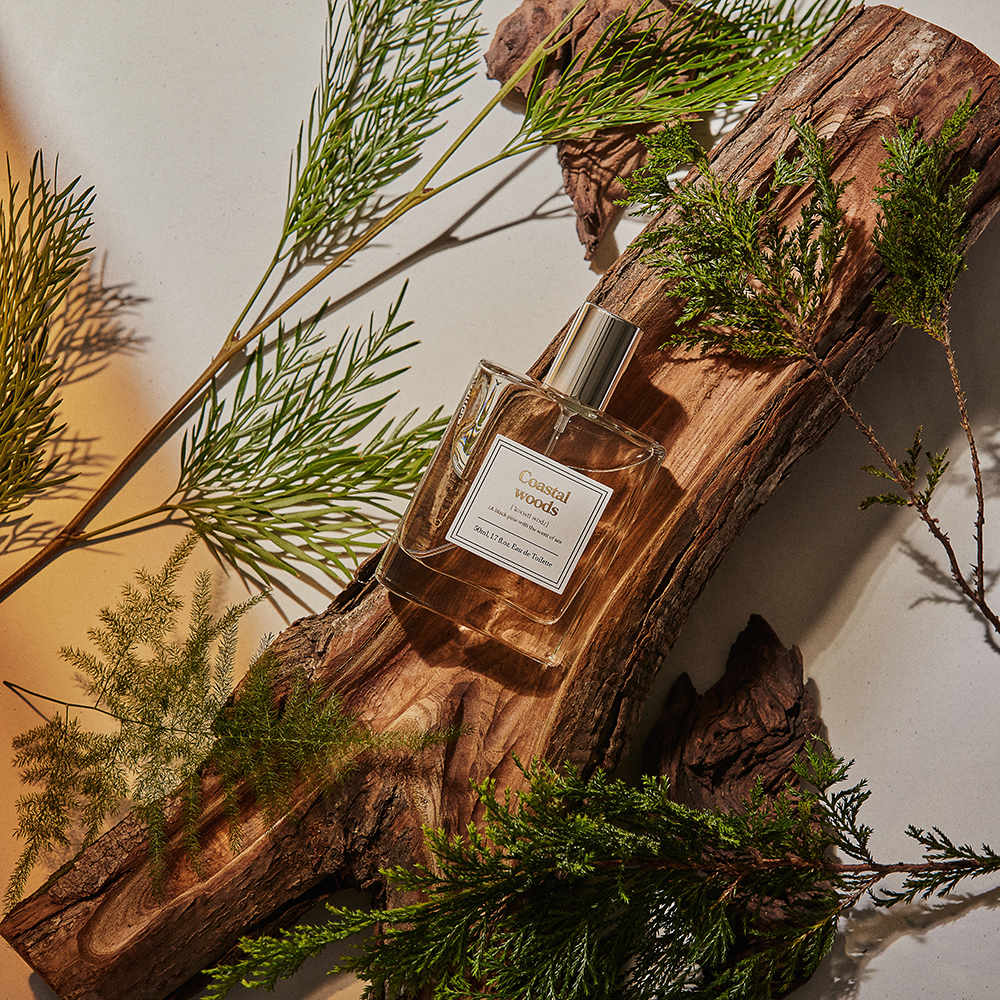 [아로 향수] 우디 향수 코스탈 우즈 Coastal woods 50ml - 상세 이미지 2