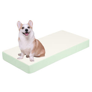 초코펫하우스 강아지계단 논슬립스텝2.0 1단 스텝 솔직 후기 | 실제 사용자 리뷰 총정리 - 상품 이미지 2