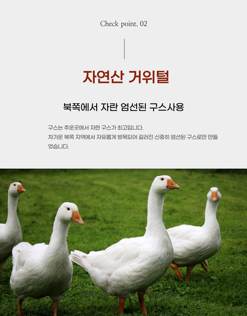 호텔이불 프리미엄 구스다운 사계절 거위털이불 900g