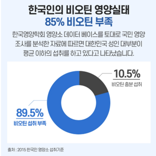 에버그린 비타민B 컴플렉스 560mg x 90캡슐 3개월 캐나다 직수입 완제품 수용성 - 상세 이미지 5