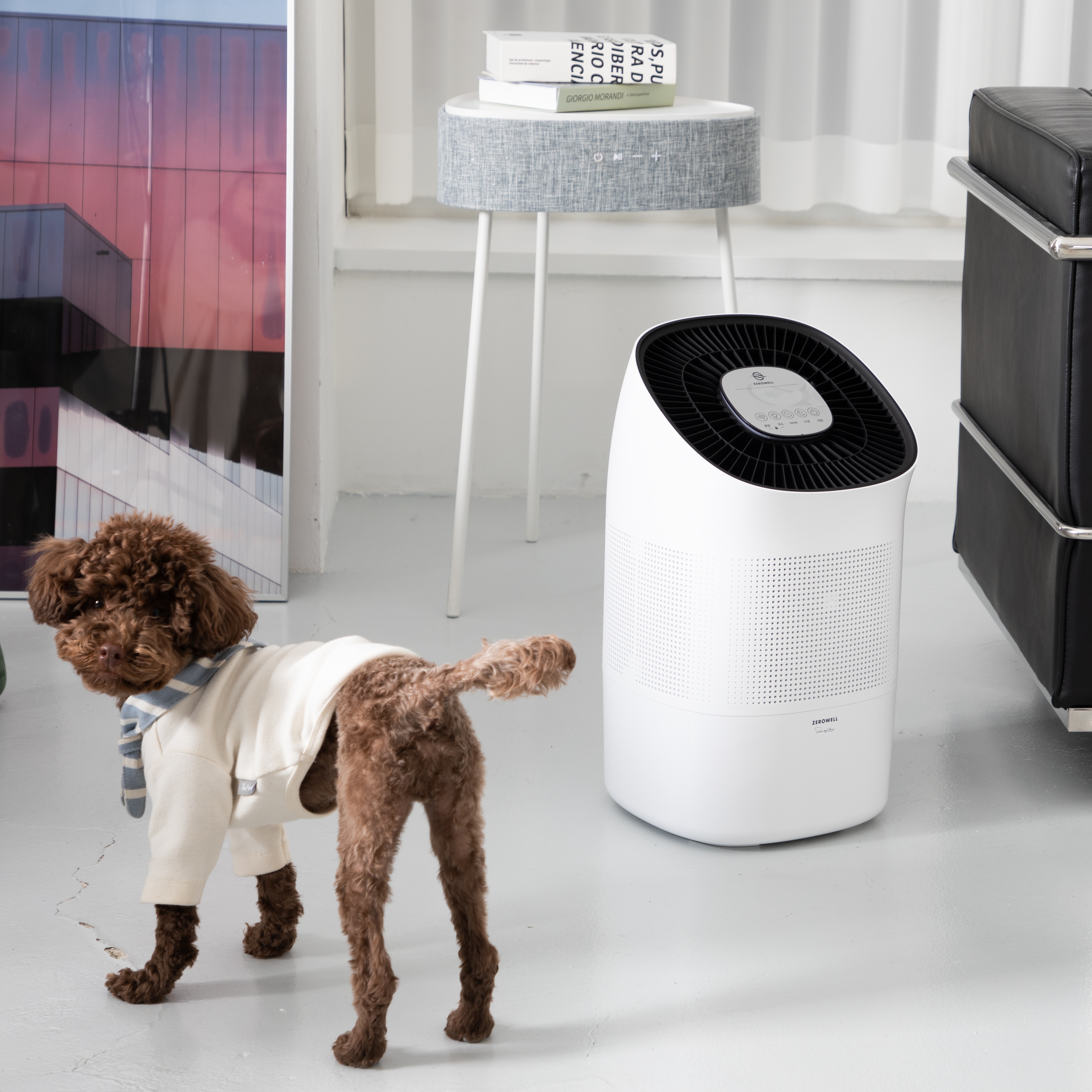 제로웰 IoT 자연기화식 가습기 공기청정기 동시작동 ZWAH-800WI 에어워셔 - 상세 이미지 2