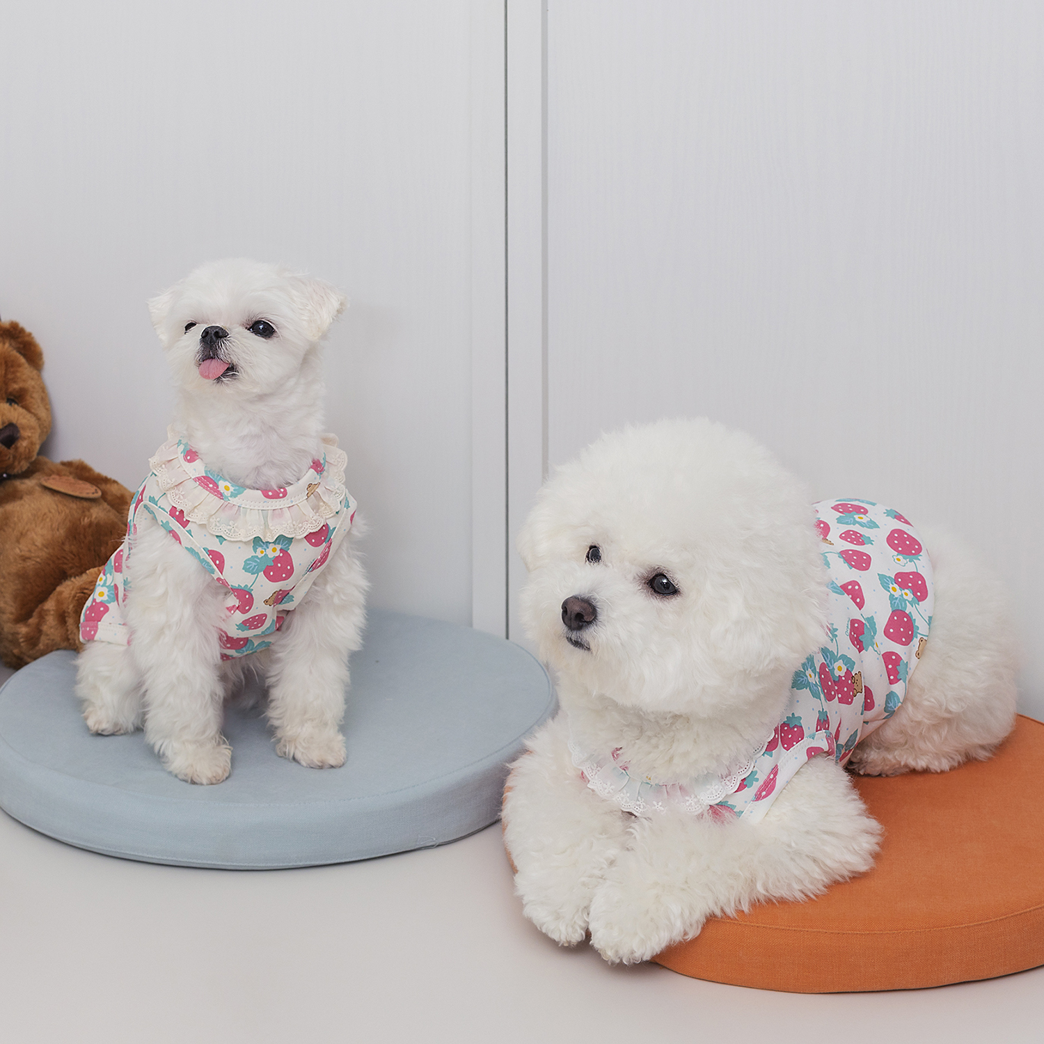 오프닝뮤즈 딸기곰 슬리브리스 오가닉 강아지옷 강아지 실내복 애견옷 이미지 8