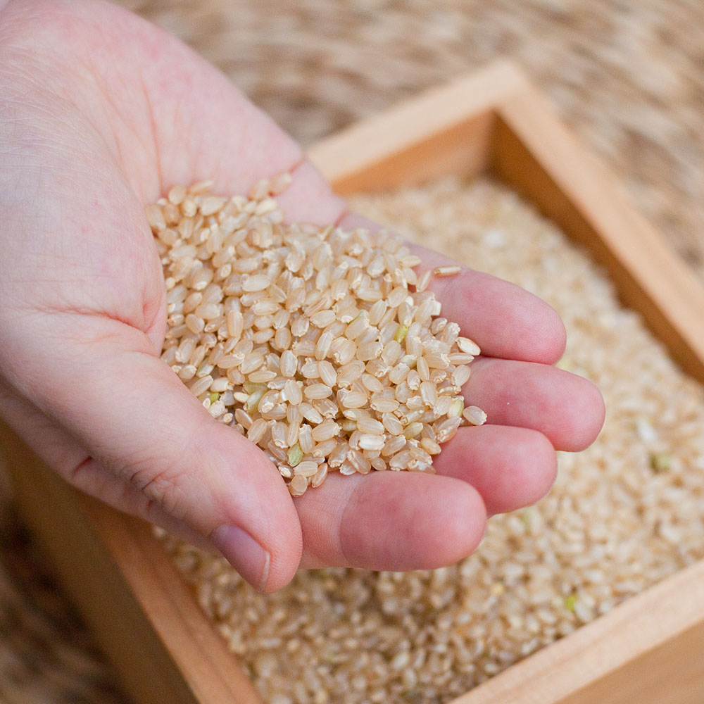 유기농 발아현미 불릴필요없는 현미 잡곡 국산 진공포장