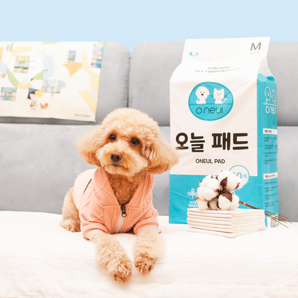 애견패드 강아지 배변패드 오늘패드 소형 100매 이미지 6