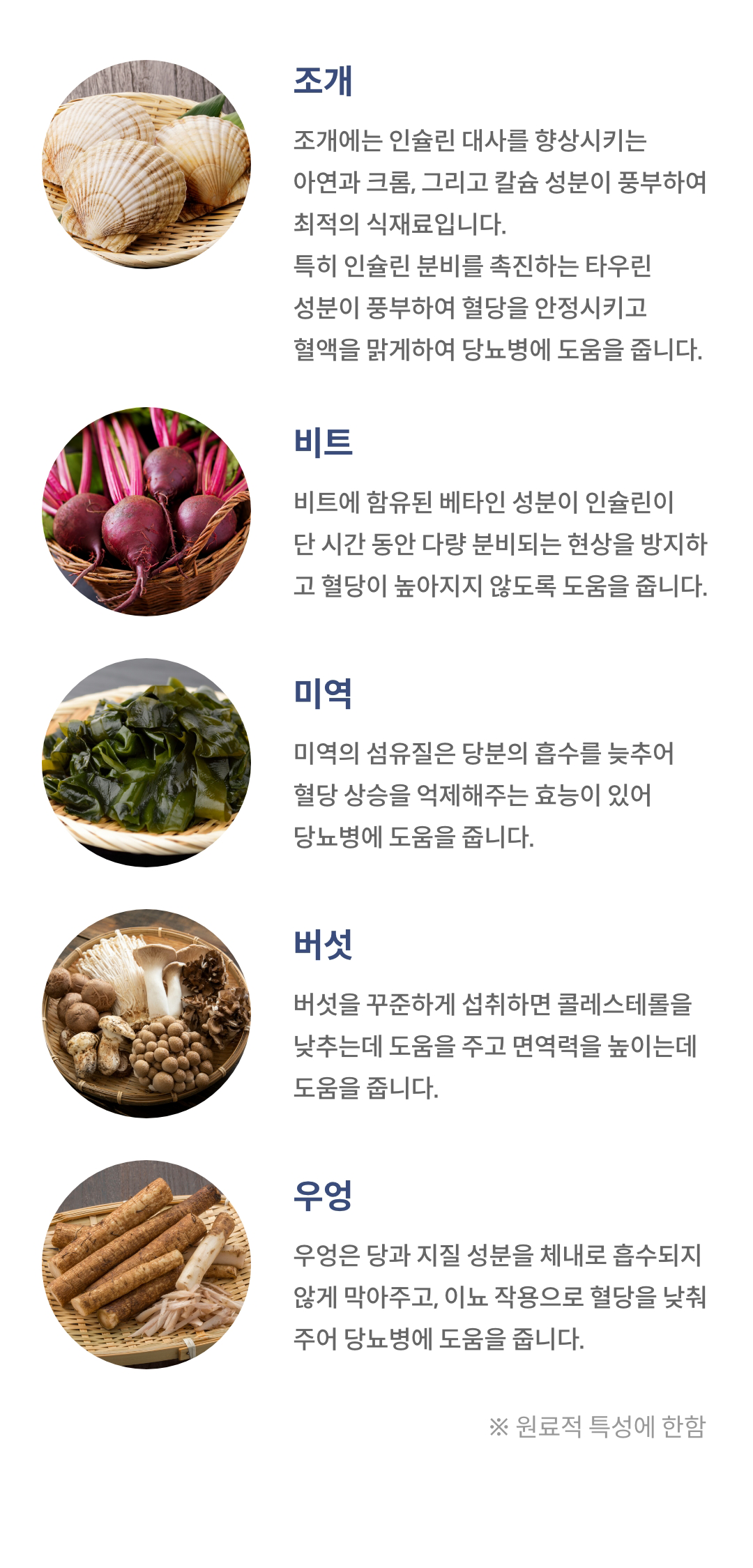 닥터맘마 당뇨 습식사료