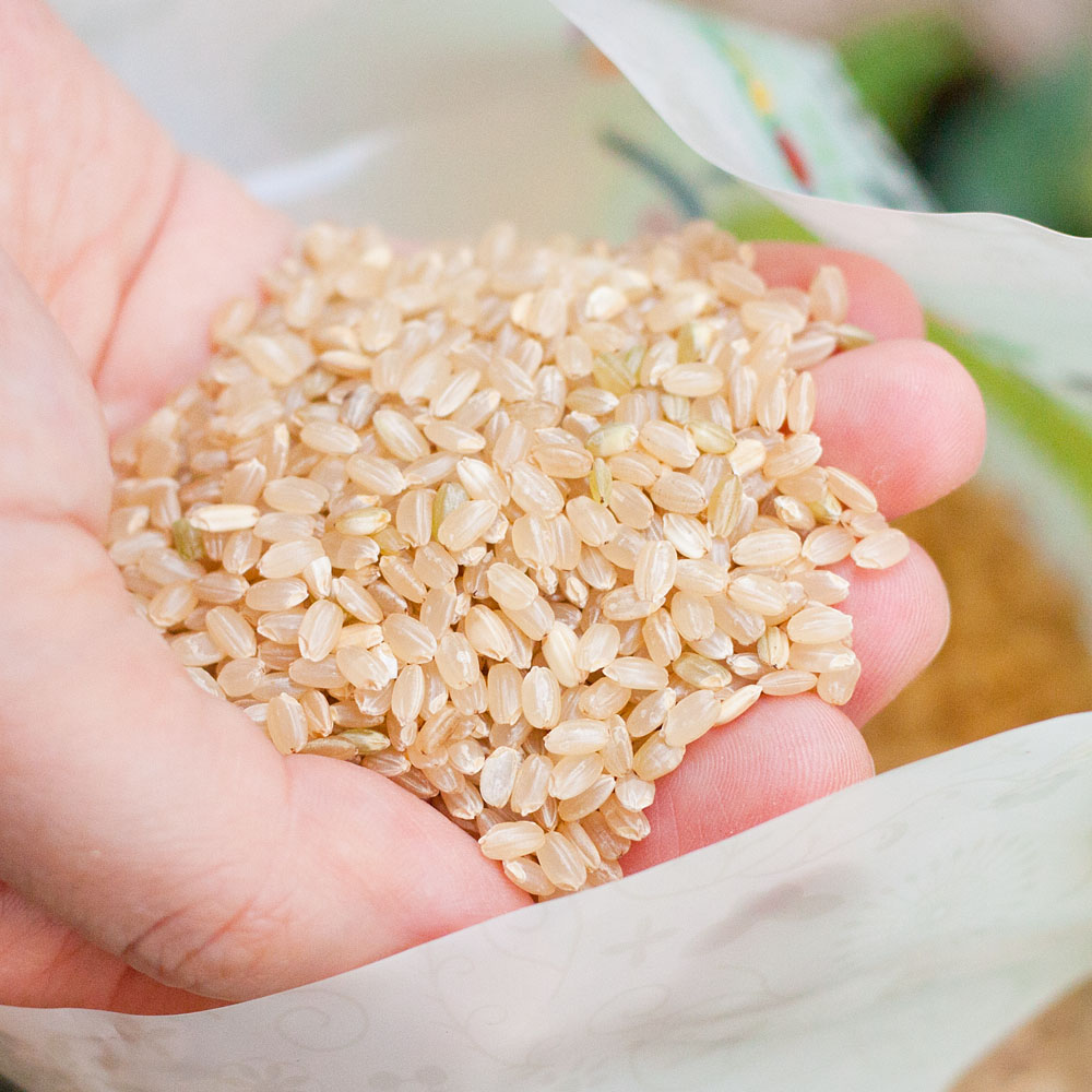 유기농 현미 친환경 벼도정 소포장쌀 칠분도미