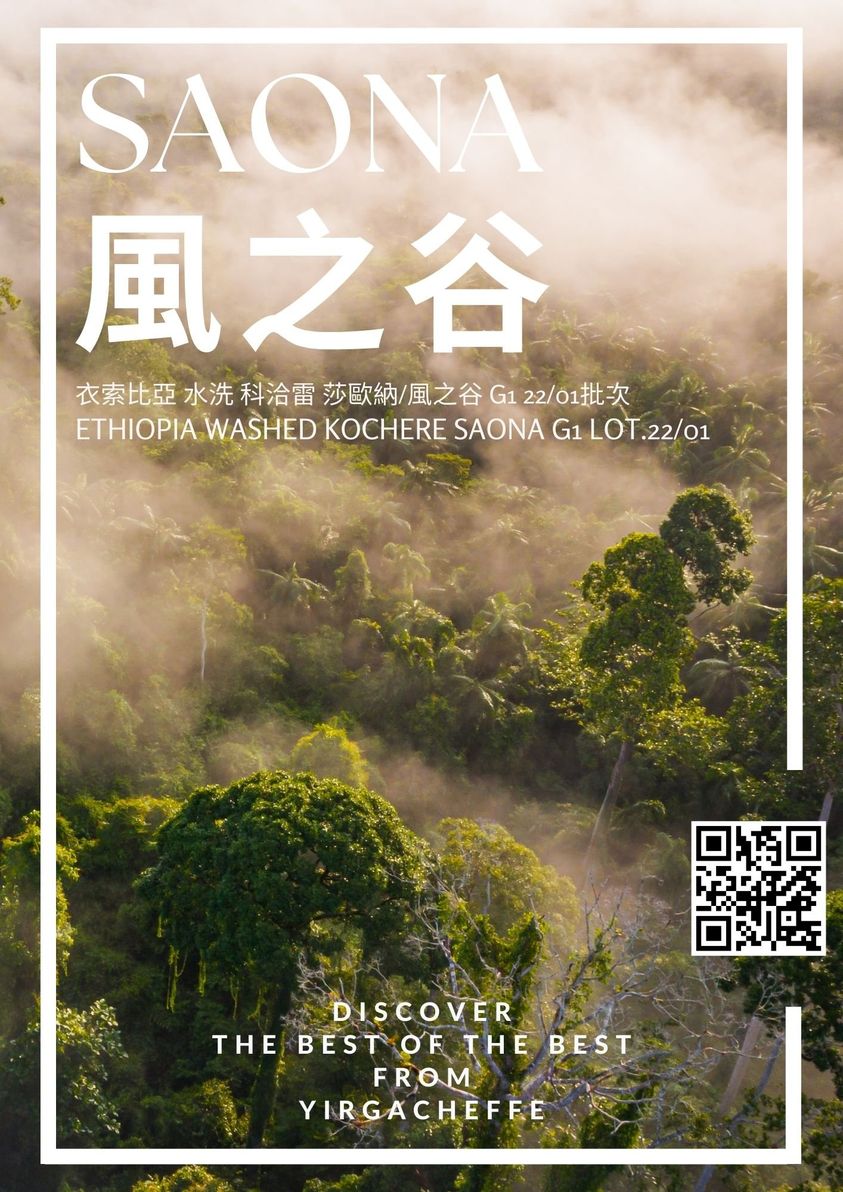 에티오피아 코체레 사오나 워시드 G1 5KG (ETHIOPIA KOCHERE SAONA WASHED G1 5KG)