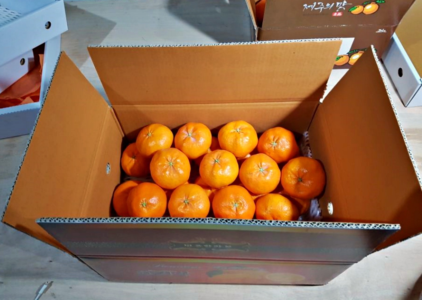 천혜향 1kg 3kg 5kg 가정용 꼬마 소과 중과 대과 제주 산지직송 - 상세 이미지 4